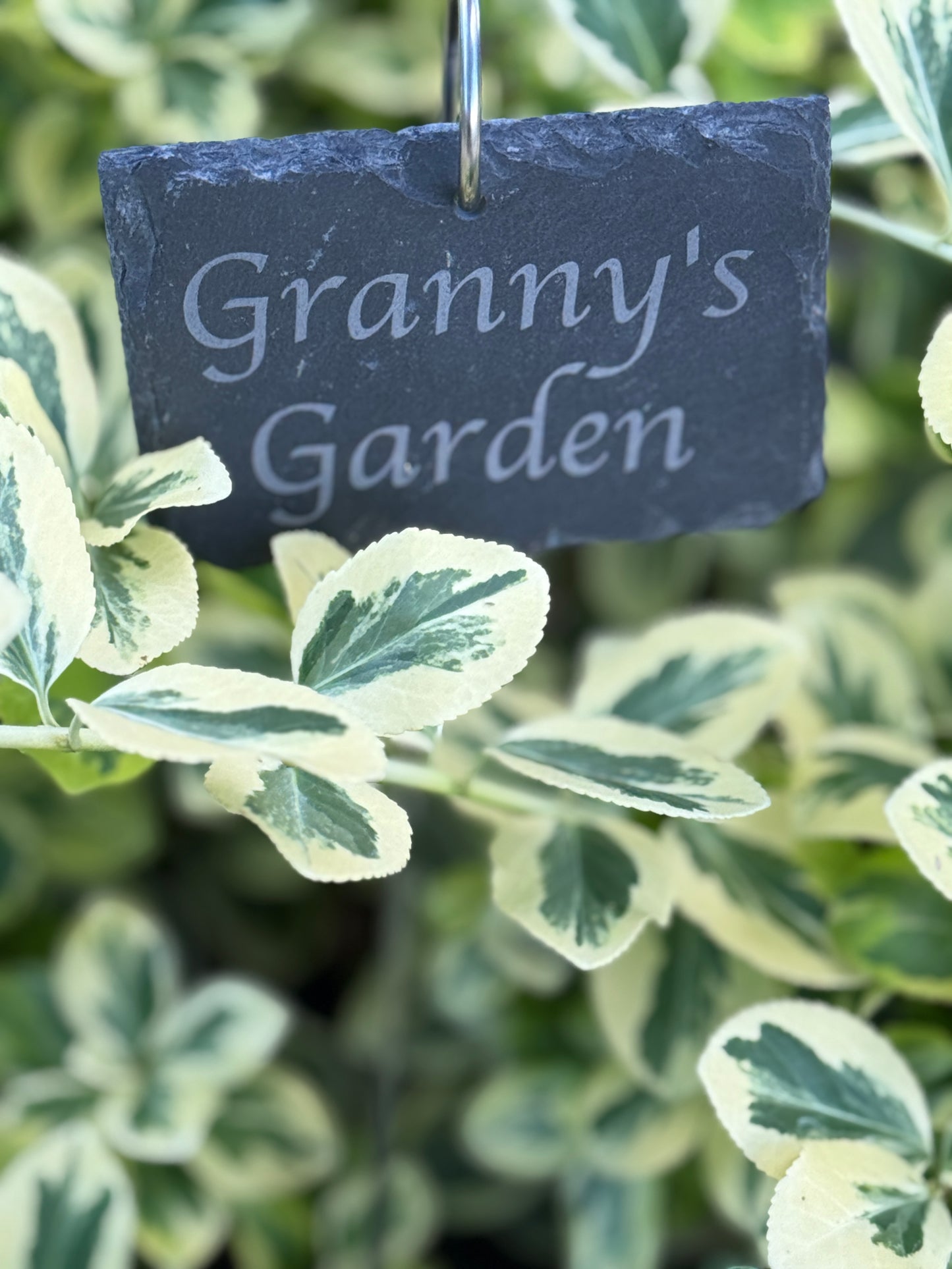 Personalized Slate Garden Sign Plant Marker