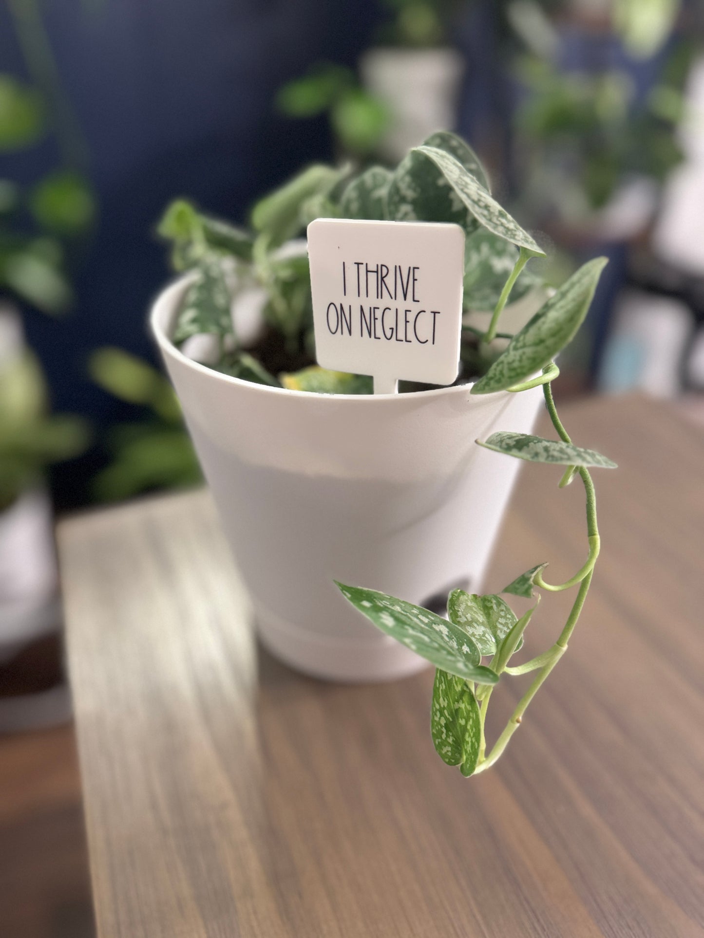 I Thrive On Neglect Plant Marker