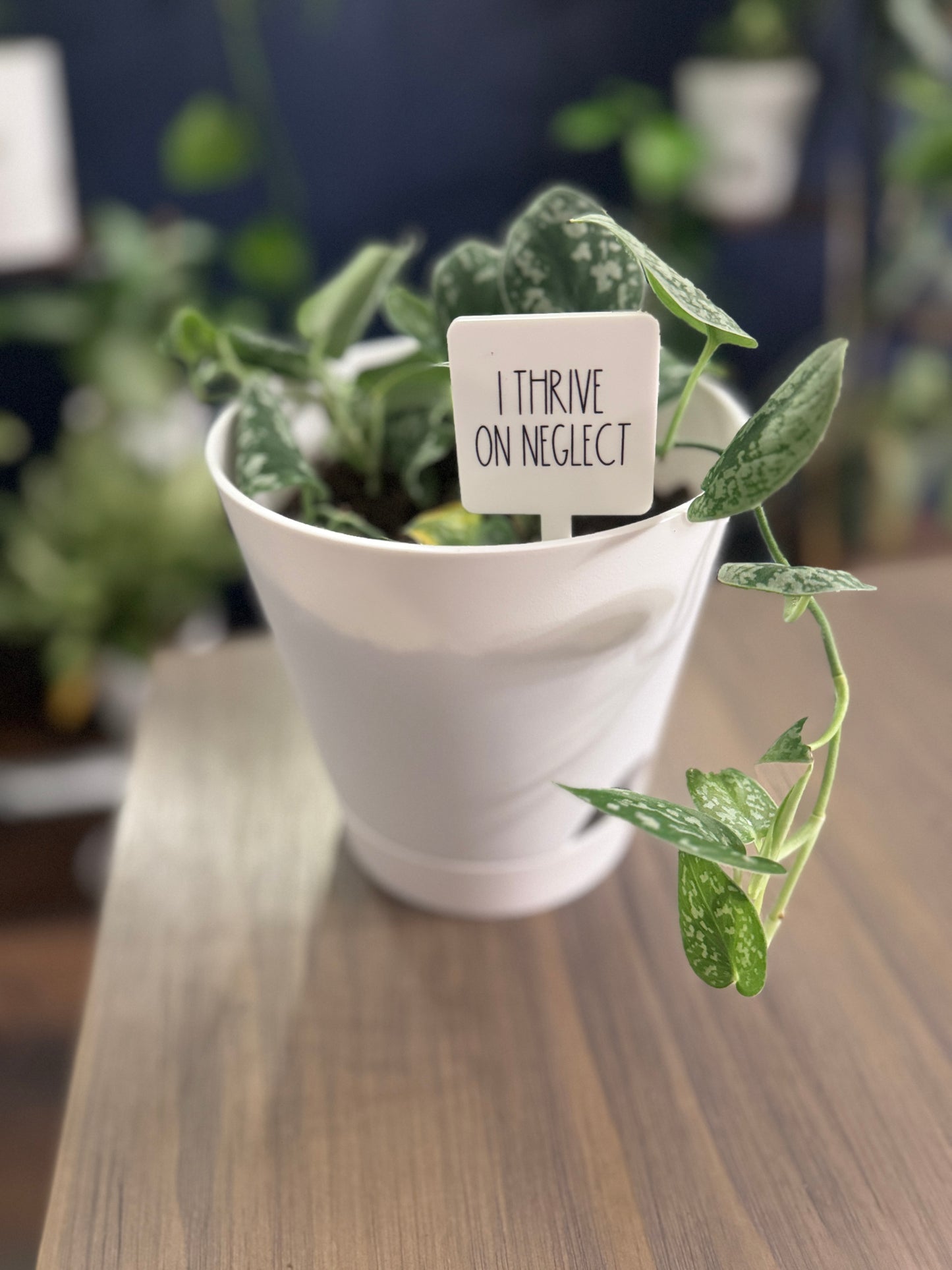 I Thrive On Neglect Plant Marker