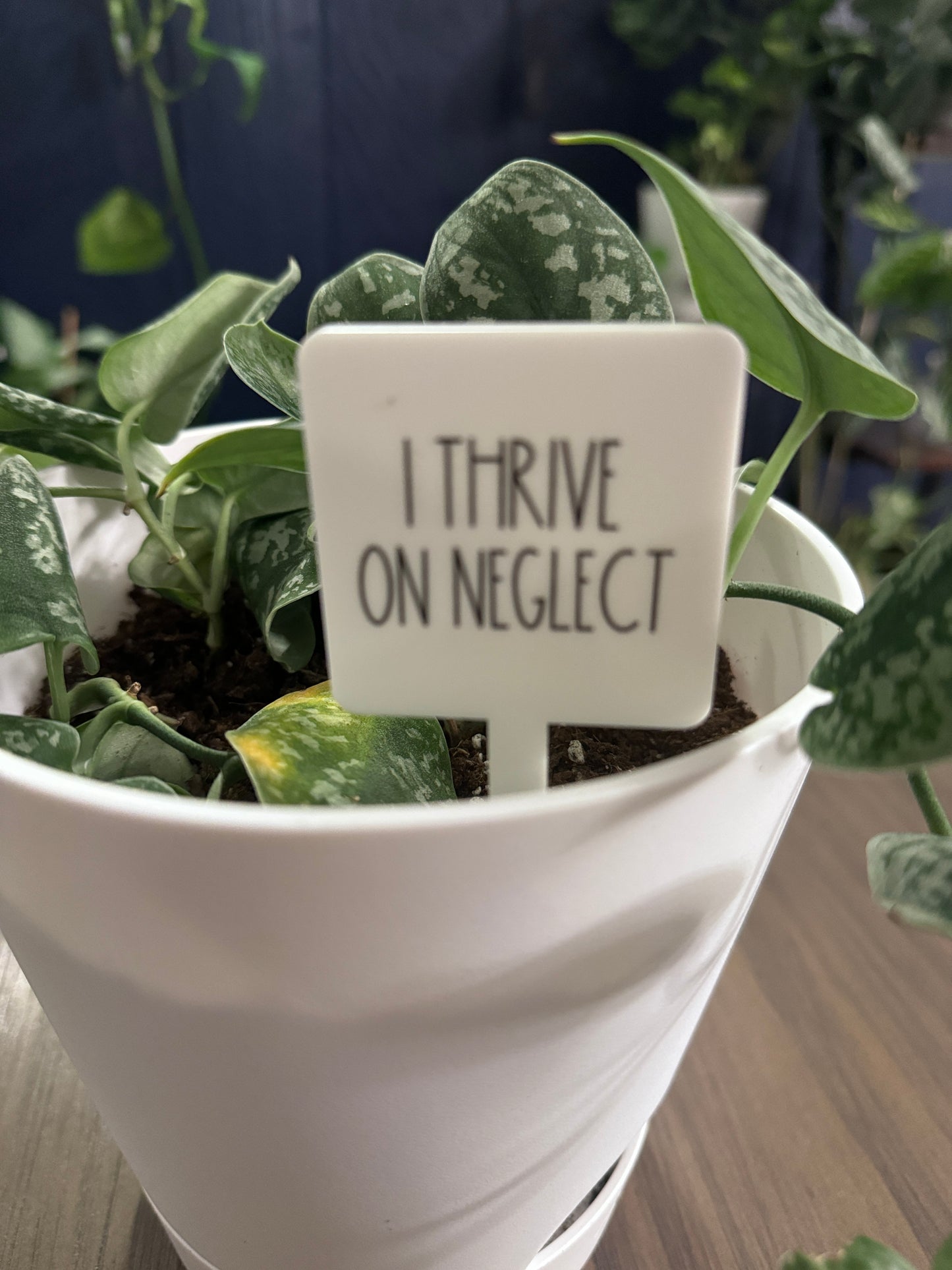I Thrive On Neglect Plant Marker