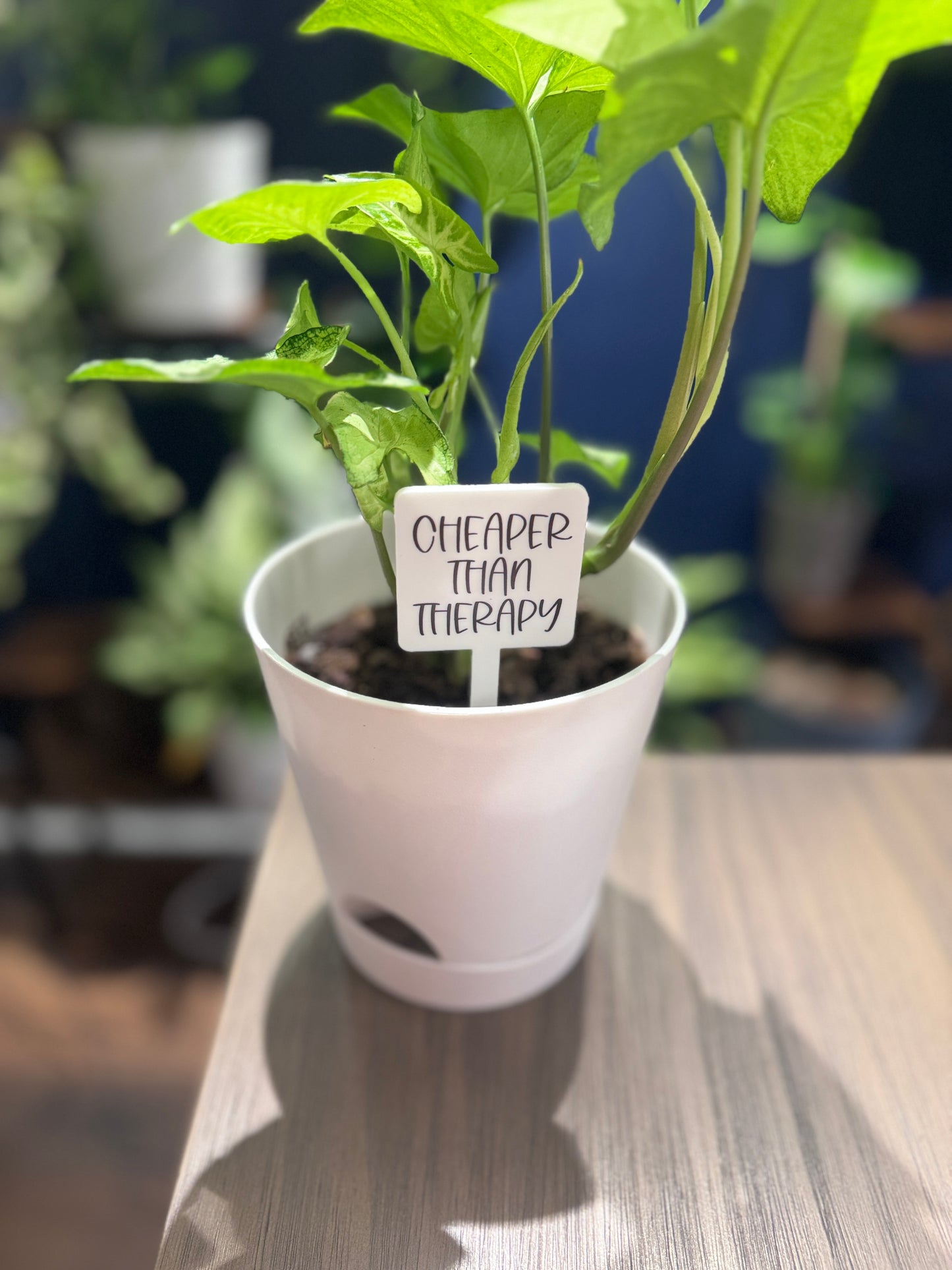Cheaper Than Therapy Plant Marker