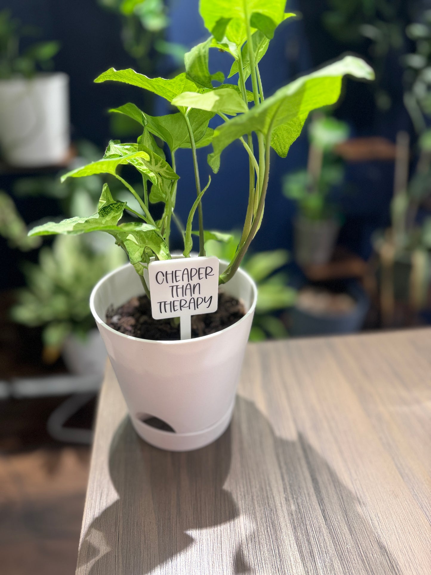 Cheaper Than Therapy Plant Marker