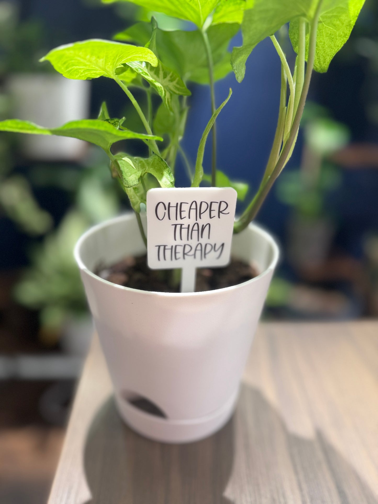 Cheaper Than Therapy Plant Marker