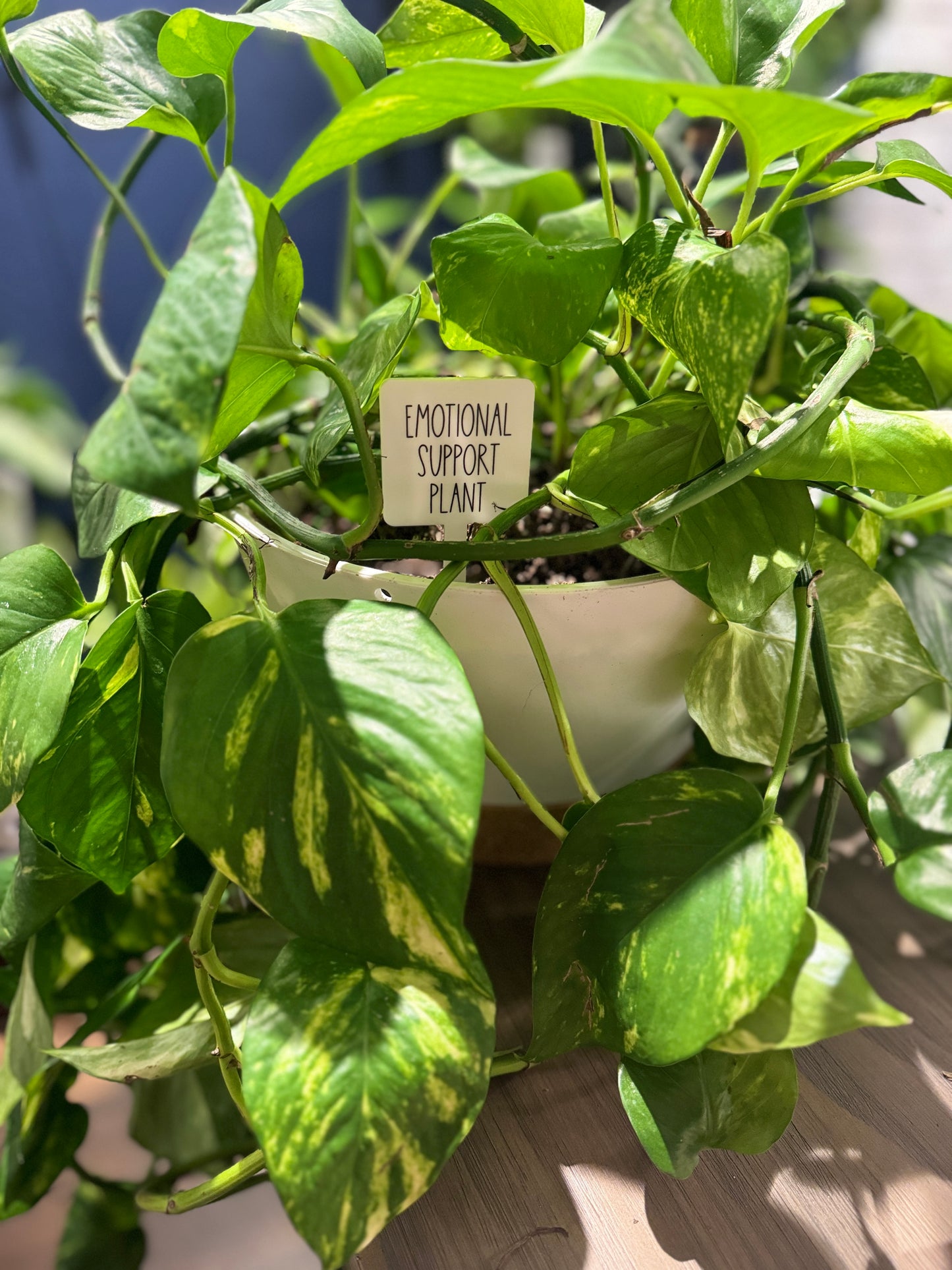 Emotional Support Plant Plant Marker