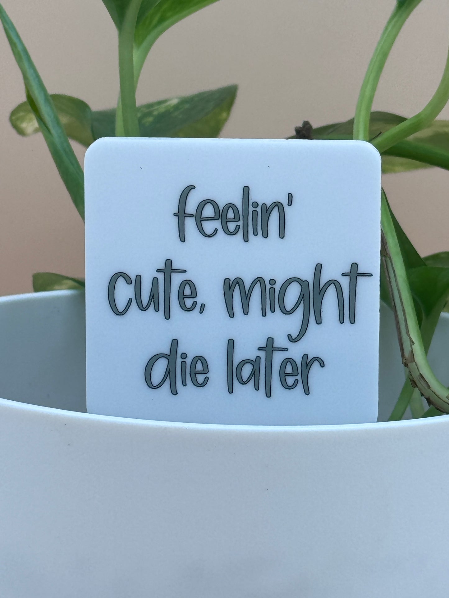 Feelin' Cute, Might Die Later Plant Marker
