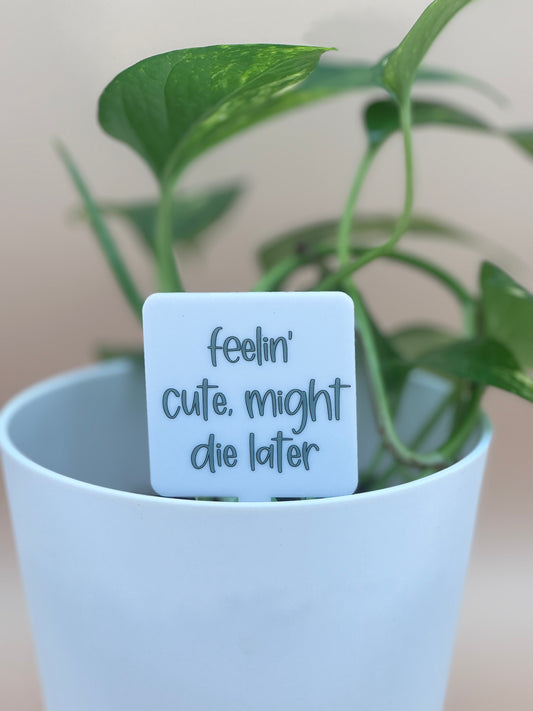 Feelin' Cute, Might Die Later Plant Marker