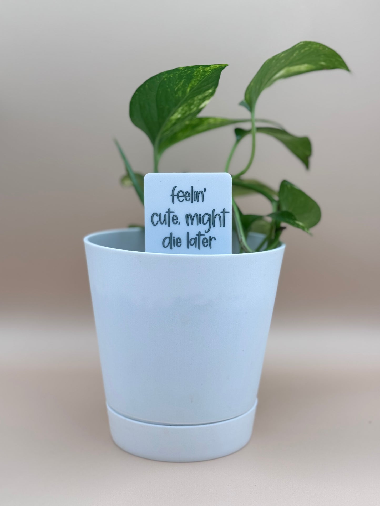 Feelin' Cute, Might Die Later Plant Marker