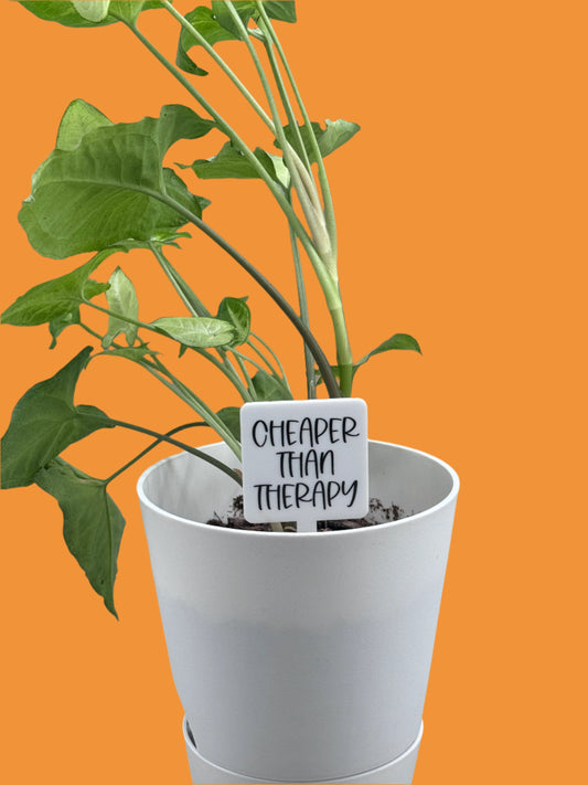 Cheaper Than Therapy Plant Marker