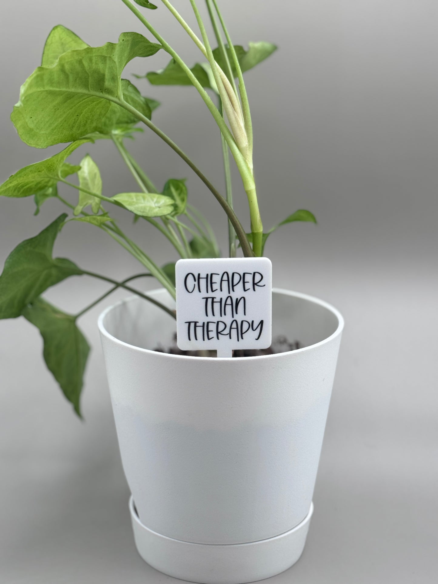 Cheaper Than Therapy Plant Marker