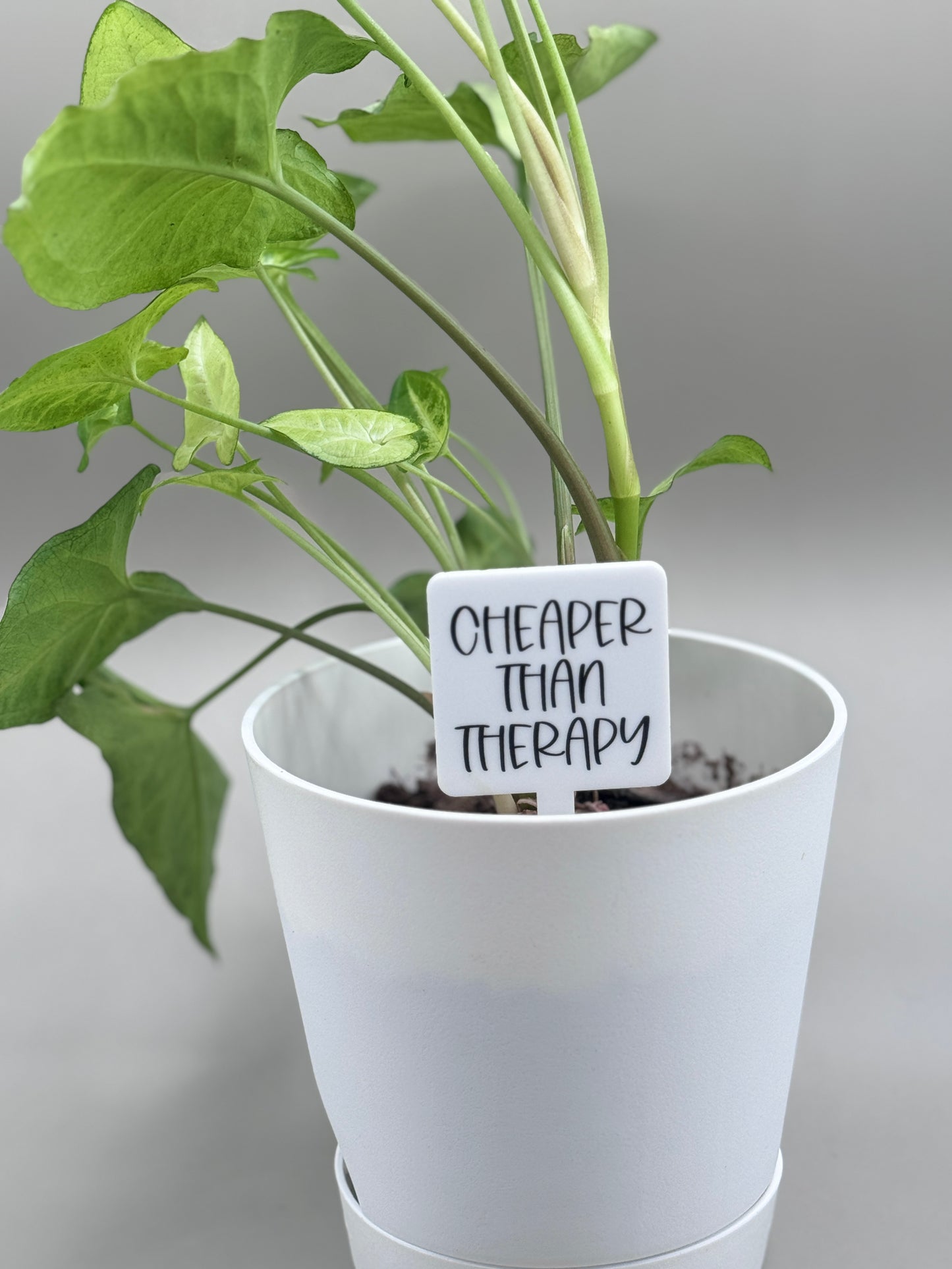 Cheaper Than Therapy Plant Marker