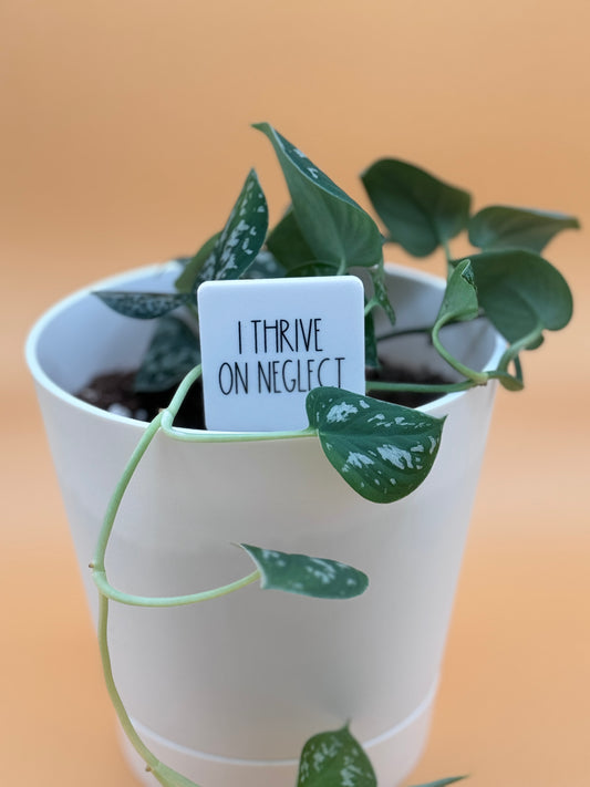 I Thrive On Neglect Plant Marker