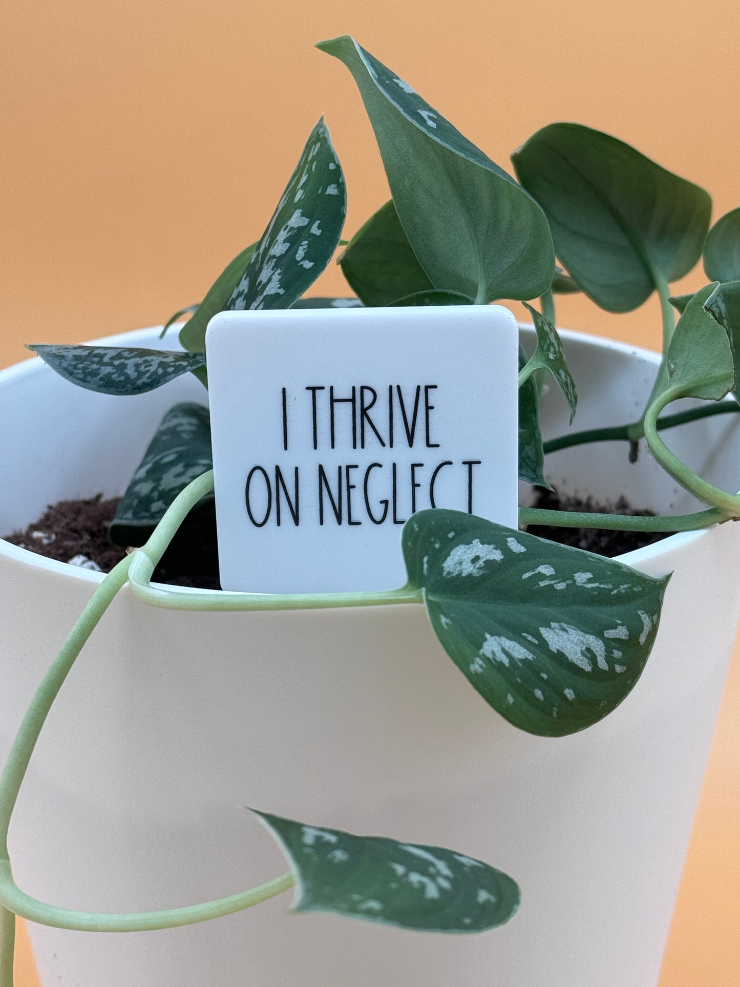 I Thrive On Neglect Plant Marker