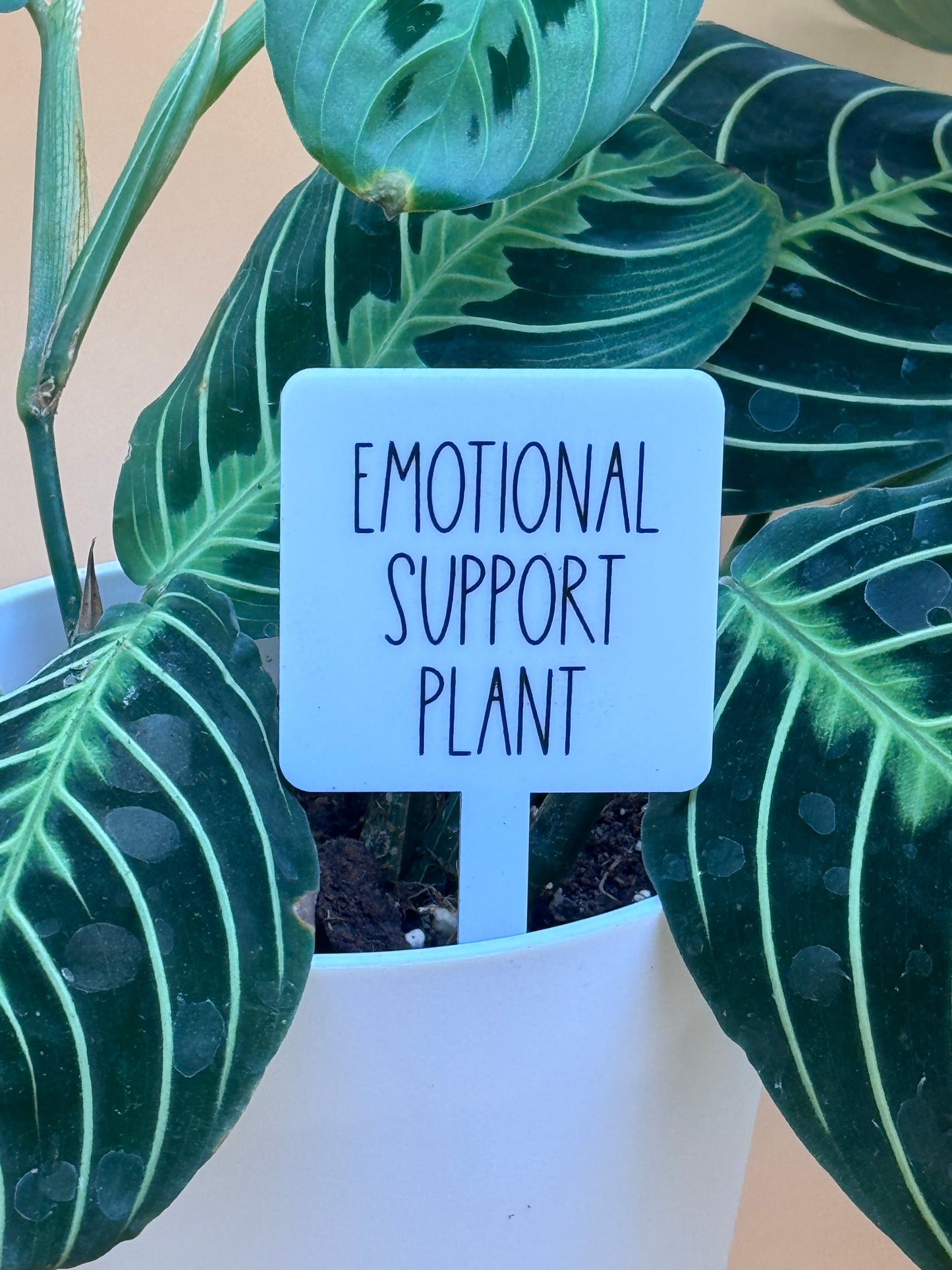 Emotional Support Plant Plant Marker