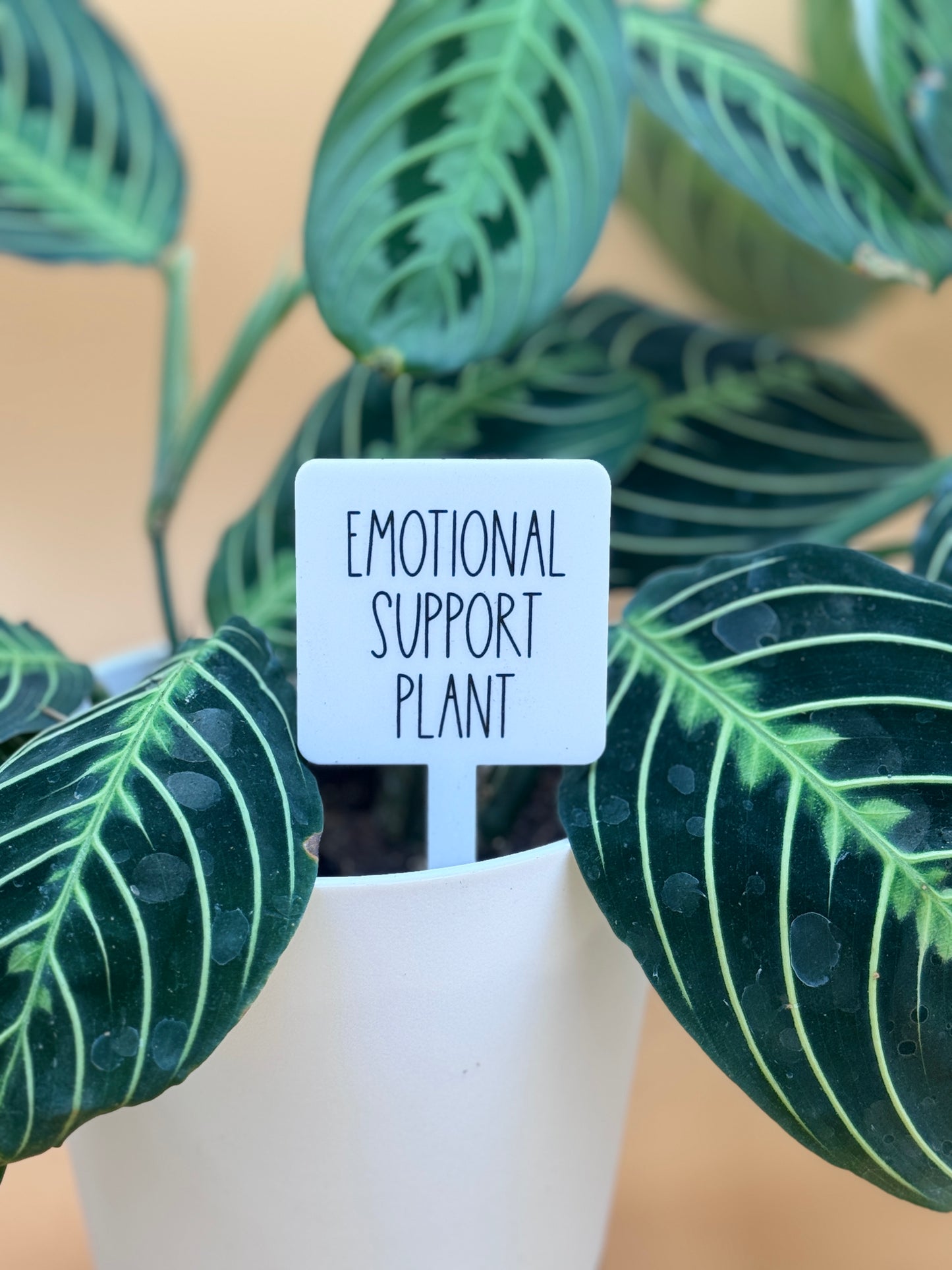 Emotional Support Plant Plant Marker