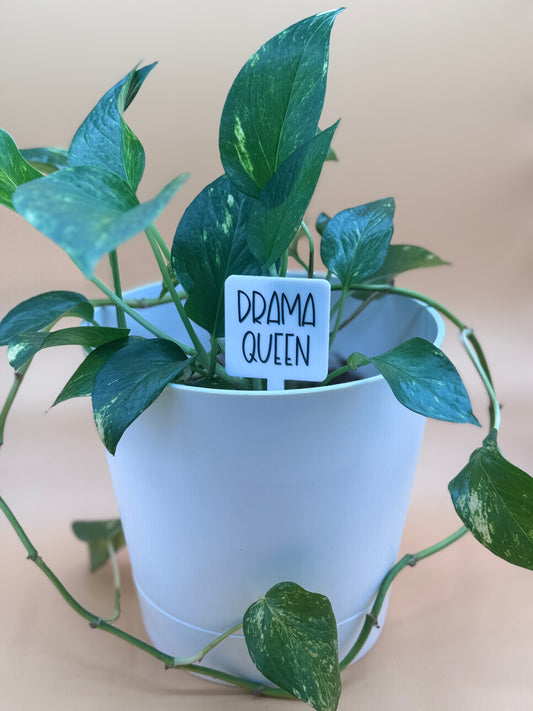 Drama Queen Plant Marker