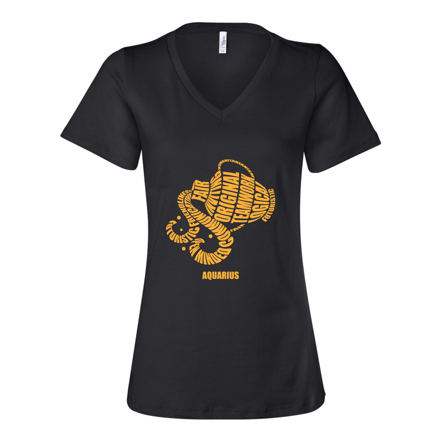 Aquarius Characteristics T-Shirt