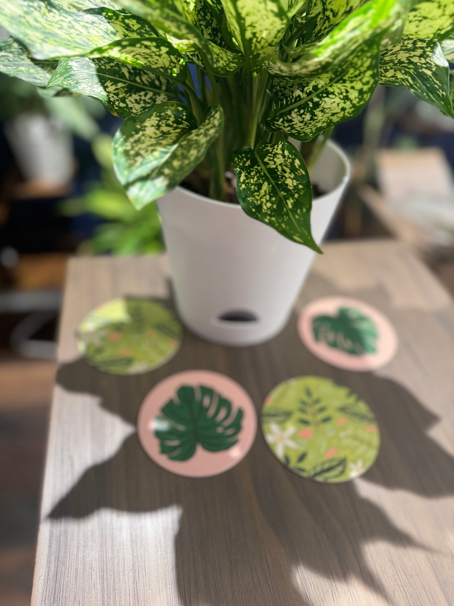 Monstera Love Double Sided Coaster Set of Four