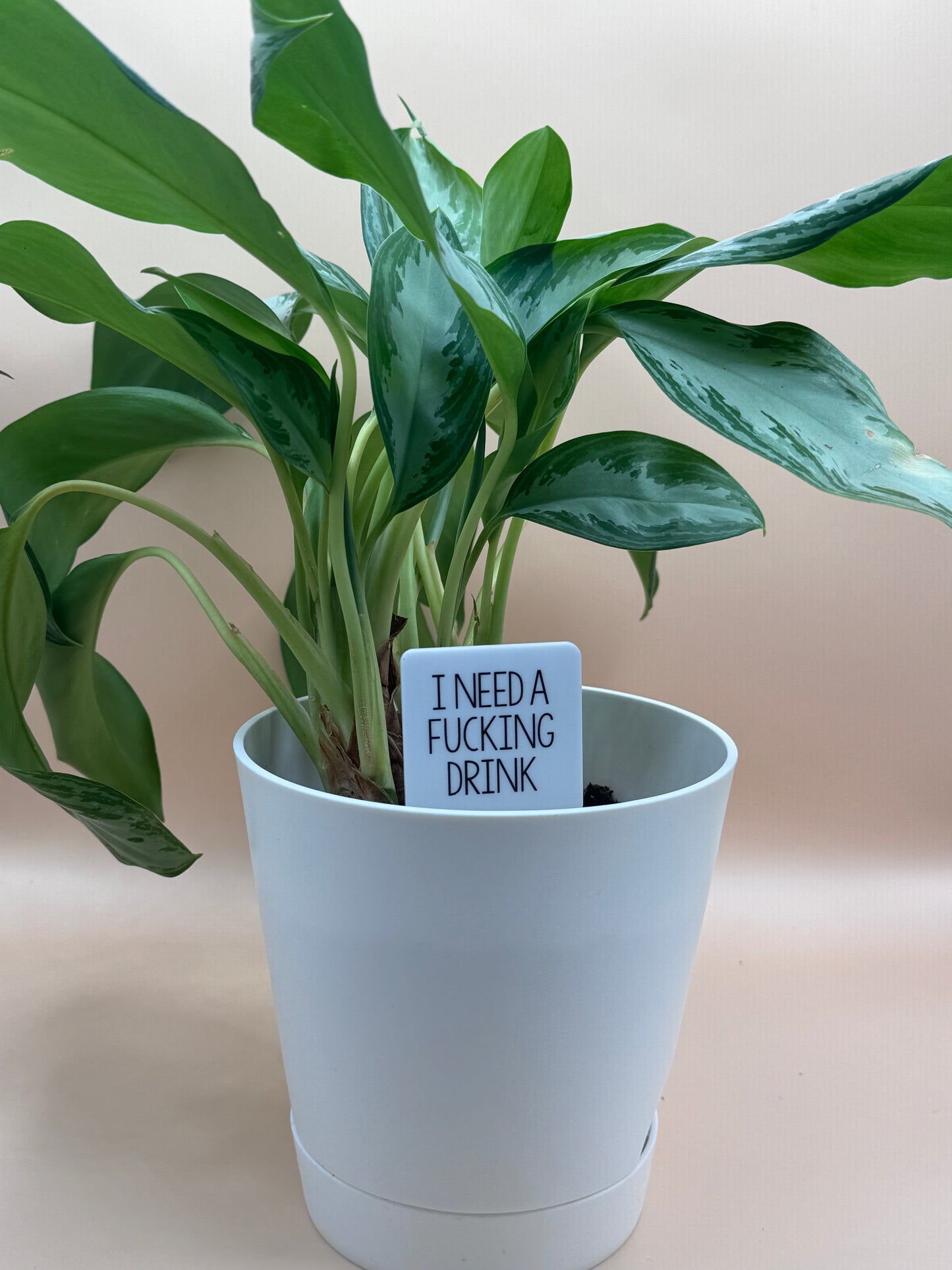 I Need A F#^}]%g Drink Plant Marker