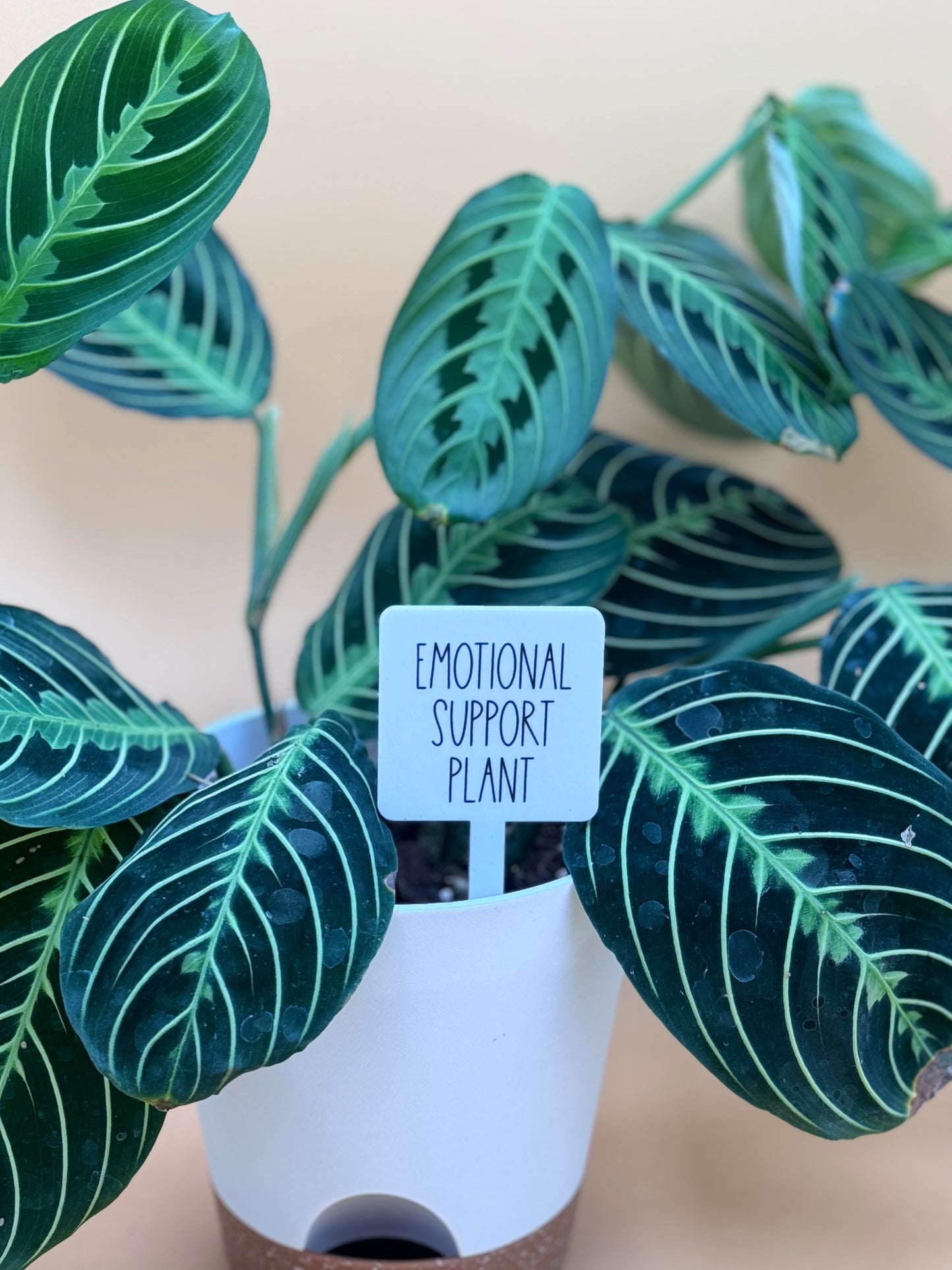 Emotional Support Plant Plant Marker