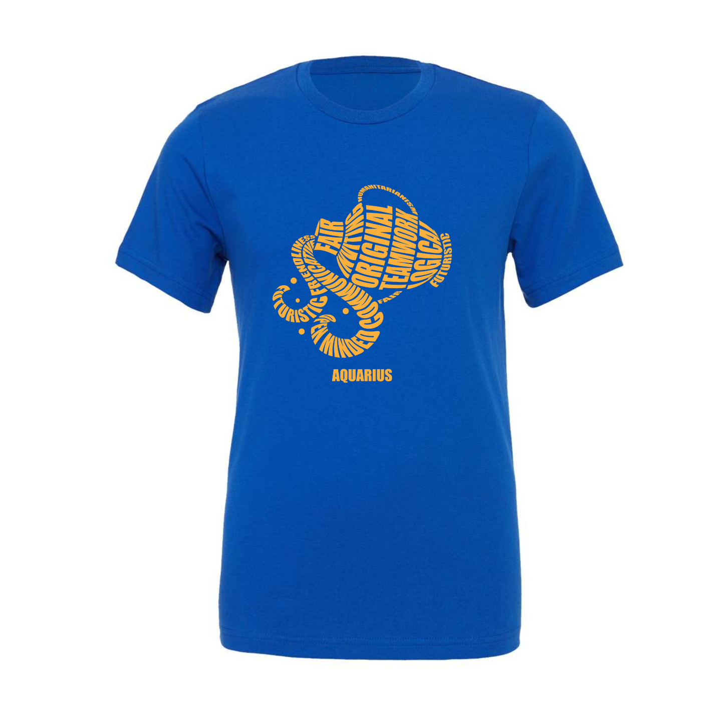 Aquarius Characteristics T-Shirt
